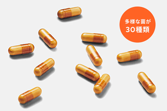 aub BASEに配合された多様な菌30種類のイメージ