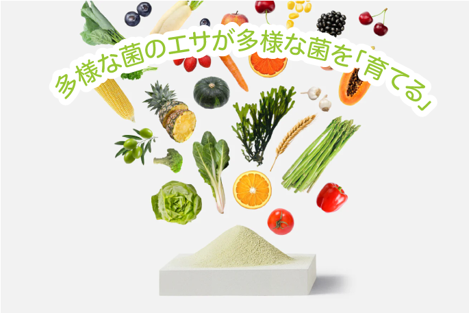 多様な菌のイメージ写真
