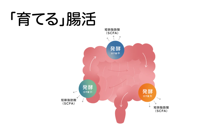 「育てる」腸活